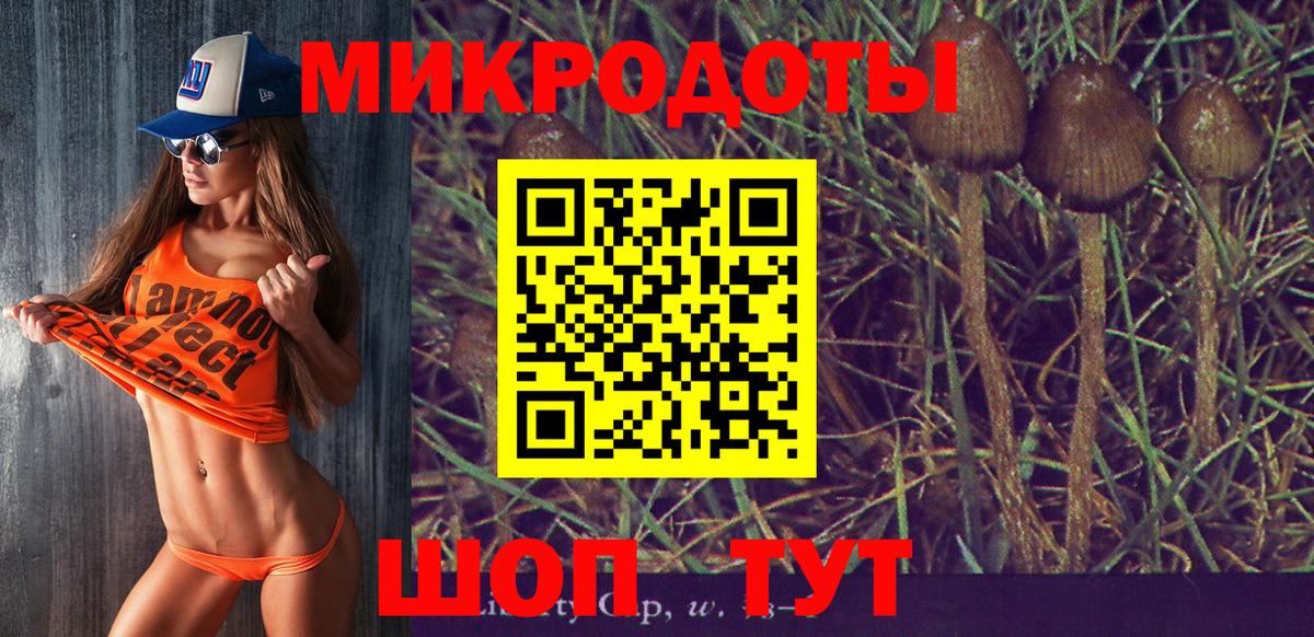 Кондопога  Псилоцибиновые грибы Psilocybe  Вход с VPN  Галлюциногенные грибы Cubensis 